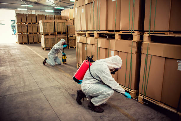 Best Flea Control Services  in Des Allemands, LA