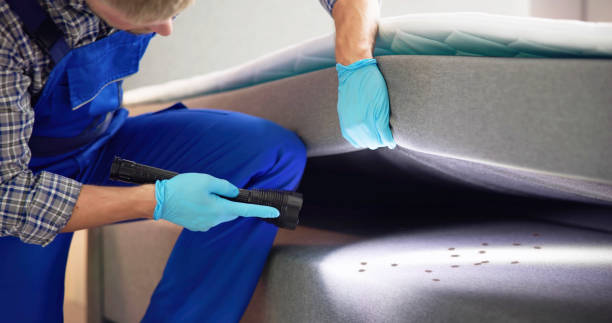 Best Pest Control for Restaurants  in Des Allemands, LA