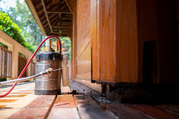 Best Best Pest Control Companies  in Des Allemands, LA