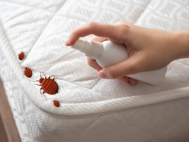Pest Control for Restaurants in Des Allemands, LA